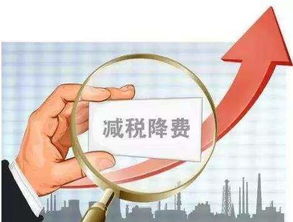 從減稅降費政策看金融服務費 金融中介服務該不該退？